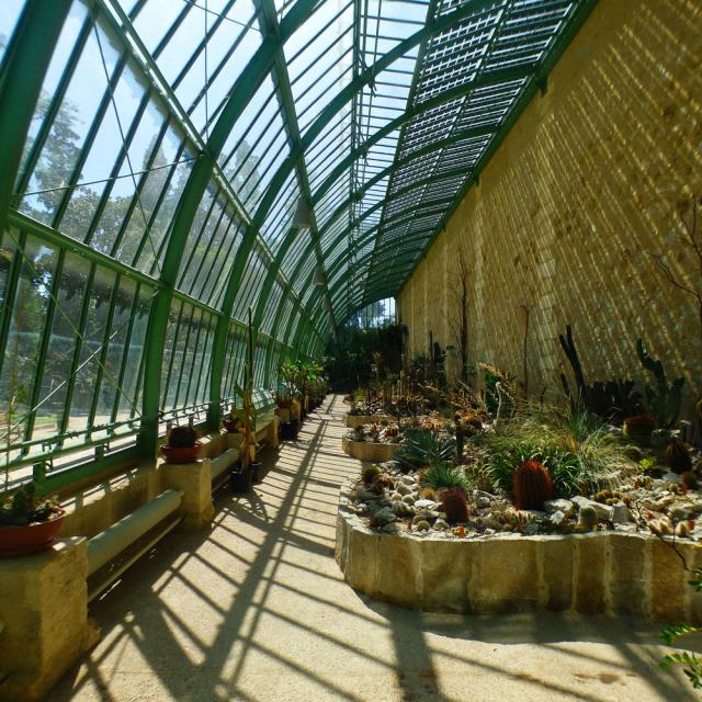 Interieur-Verriere-Jardin-des-Plantes-640x640