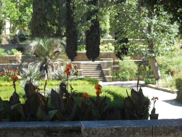 Jardin des plantes Montpellier.3JPG-1-1